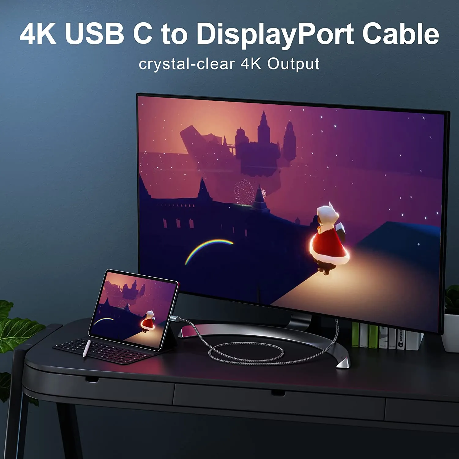 Cordon USB Type-C vers Displayport – Image 3