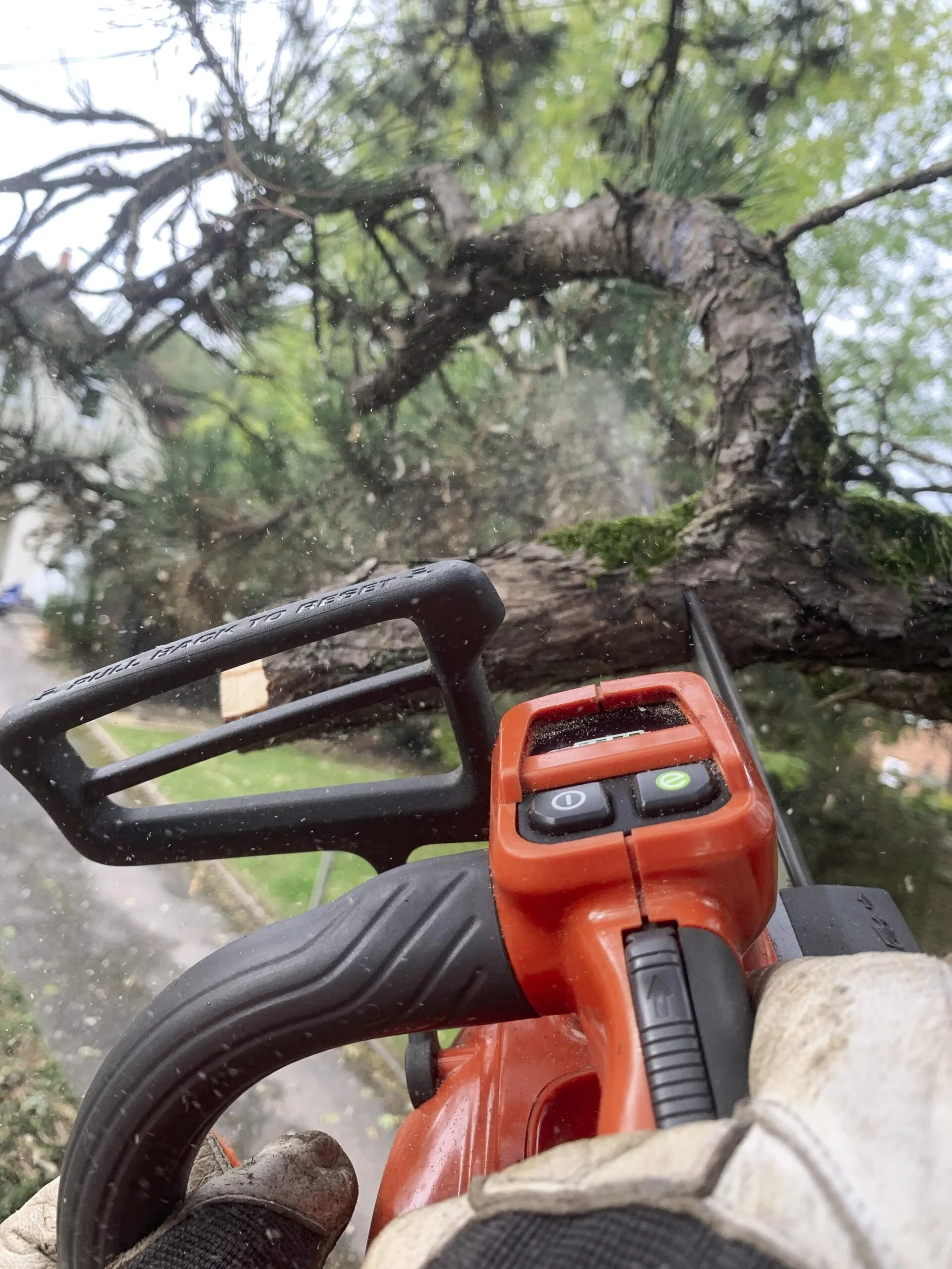 Élagueuse à batterie HUSQVARNA – T540iXP-35SN (avec guide 35 cm) – Image 4