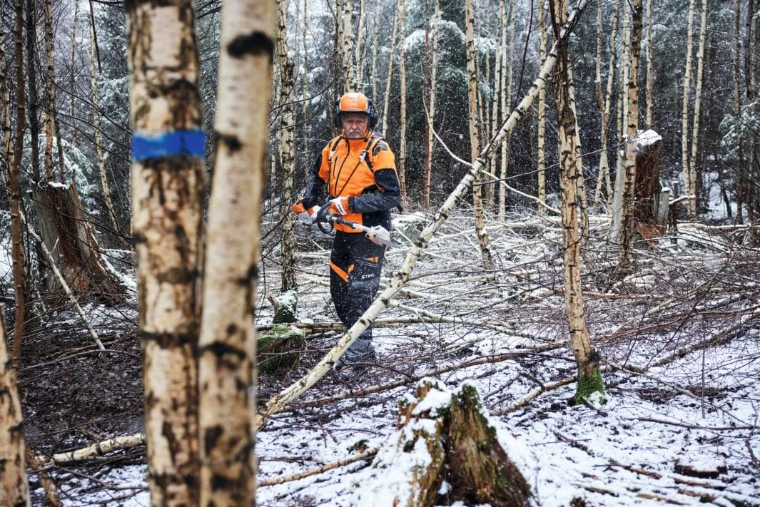 Perche d’élagage STIHL – HTA 150 – Chaîne 1/4 – Gamme AP – Image 5