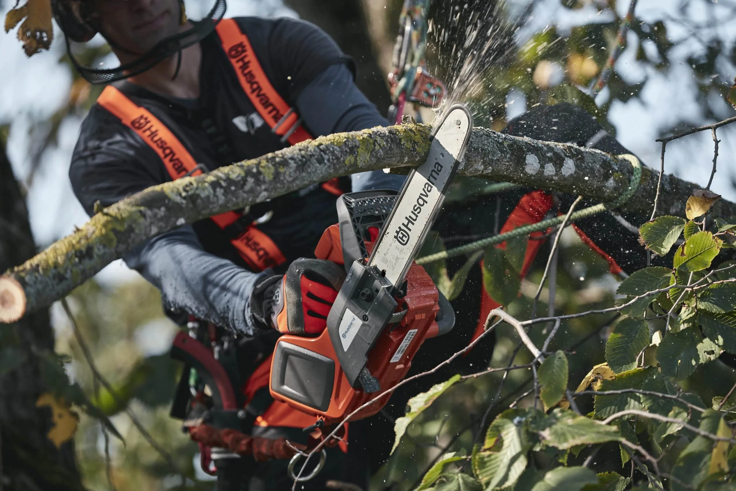 Élagueuse à batterie HUSQVARNA – T535iXP – guide 30 cm – Image 3
