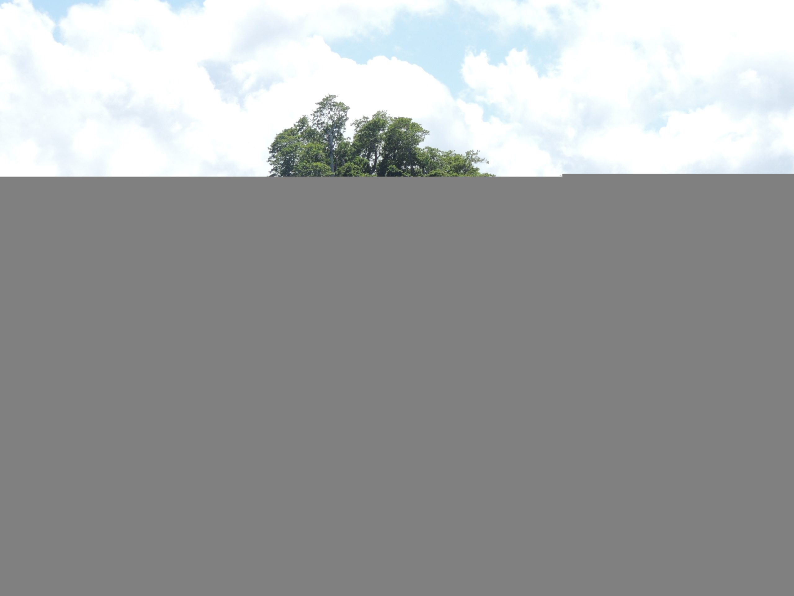 Speedboat – Tour PRIVÉ PREMIUM – Image 6